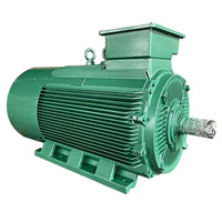 Motor Trifásico de CA de Alta Tensión Y2-5002-6 630KW 6KV IP55 IC411 992rpm
