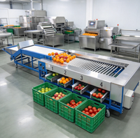 Betrouwbare automatische fruit- en groentesorteermachine met eenvoudig onderhoud voor fruit- en groenteverpakkingsfabrieken