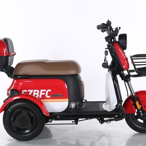 2024 NEW Electric Mobility Scooter 1000W Electric Tricycle Cargo Tricycle for Adults Triciclo Electrico - Product Image 5