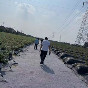 Telo in Cemento ad Alta Resistenza Flowpath per Costruzione Rapida di Pavimentazioni in Calcestruzzo - Product Image 1