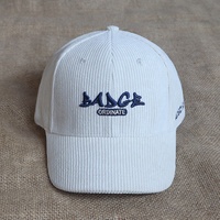 Gorras de Béisbol Deportivas Casuales para Mujer, con Logotipo Bordado en 3D Personalizado, de Pana, 6 Paneles, Estructuradas, con Visera Curva, en Oferta