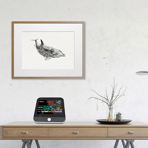 Moniteur de Qualité de l'Air Intérieur 8-en-1 Intelligent, Détecteur de PM2.5, TVOC, HCHO, AQI, Analyseur de Gaz OEM & ODM DM306B - Product Image 2