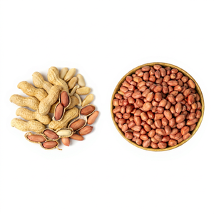 Arachides blanchies entières, noyaux de cacahuètes séchés, collation pour la transformation alimentaire, cacahuètes de Java - Product Image 1