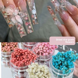 Piccoli Fiori Secchi Giapponesi <span class=keywords><strong>per</strong></span> Nail Art: Decorazioni Fresche Stile Ins con Gypsophila, Stelle e Riso <span class=keywords><strong>per</strong></span> <span class=keywords><strong>Unghie</strong></span> Fai da Te - Product Image 2