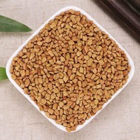 Biji Fenugreek Kering Premium 1kg Trigonella Foenum-graecum untuk Teh Herbal & Rempah-rempah Kemasan Kustom Tersedia