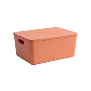 Factory Manufacture Various Plastic Shoe Storage Box Home Plastic Storage Box