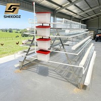 Équipement avicole pour élevage en batterie de type A : poulailler, poulailler d'élevage de poulets de chair, cage à œufs pour poules pondeuses