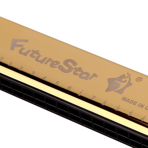 ฮาร์โมนิก้าไดอะโทนิก Futurestar 24 รู คีย์ C สำหรับผู้เริ่มต้น นักเรียน เด็ก ใช้ในห้องเรียน - Product Image 2