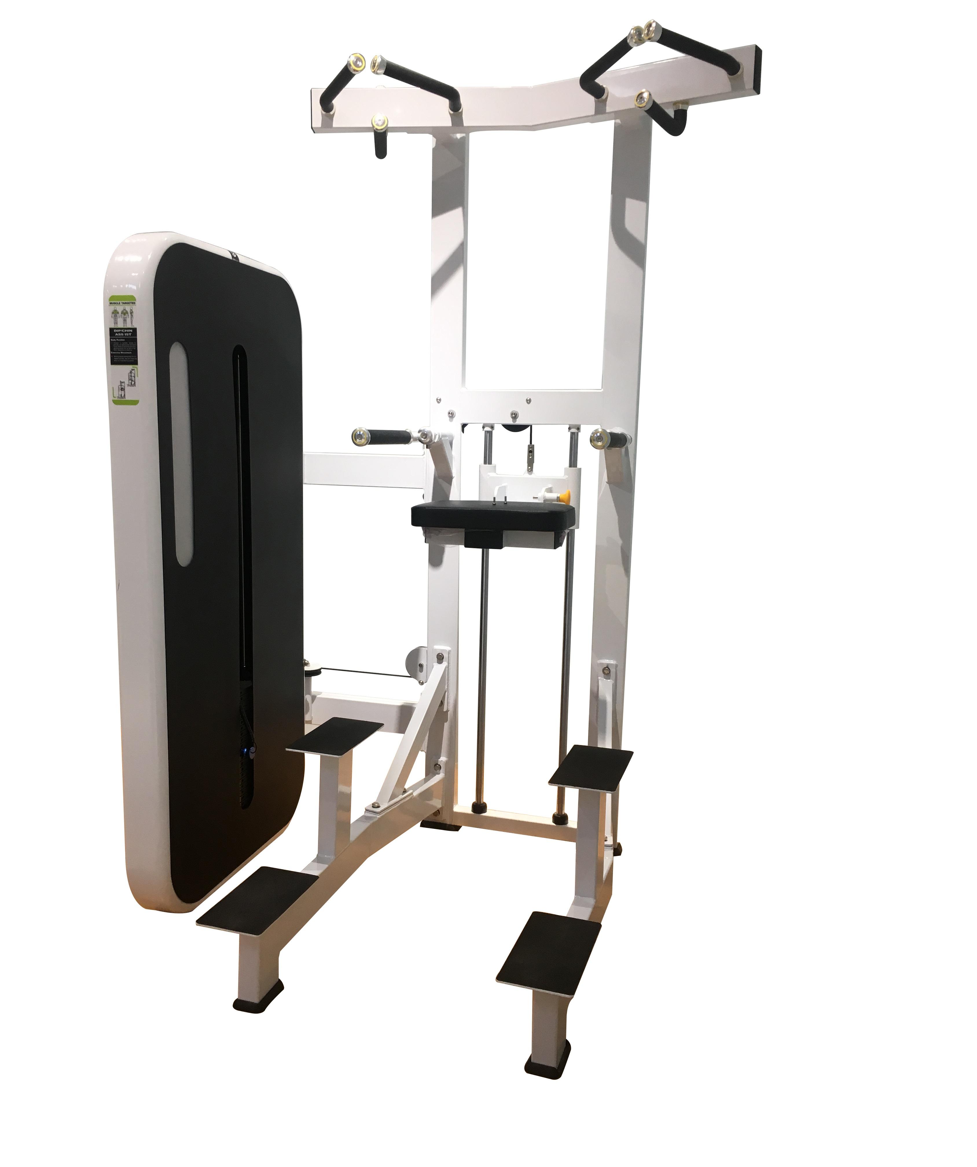 Cybex Prestige Cybex Dip Machine Cybex Fitness Equipment High