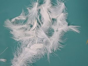 Relleno de <span class=keywords><strong>plumas</strong></span> de ganso 100% a granel y relleno de almohada, reparación, relleno, pelusa <span class=keywords><strong>para</strong></span> <span class=keywords><strong>cojines</strong></span> de sofá, edredones, chaquetas DIY - Product Image 6
