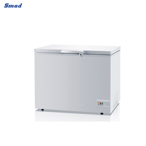 Congélateur coffre vertical commercial et domestique Smad 200L pour fabricants DSC-215E - Product Image 4