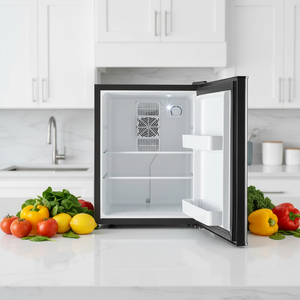 Refrigeradores y Congeladores Mini de 40L para Dormitorio, Ideales para Hoteles, Venta al Por Mayor - Product Image 6