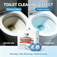 Blocs désodorisants pour toilettes personnalisés ODM&OEM – Soin sanitaire durable pour salles de bain résidentielles