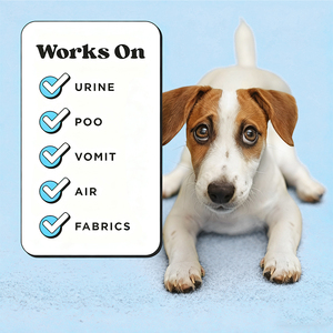 Spray Desodorante para Mascotas <span class=keywords><strong>con</strong></span> Aroma Suave, Eliminador de Olores para Perros y Gatos, Perfume para el Cuidado en el Hogar, Fabricación Personalizada - Product Image 4