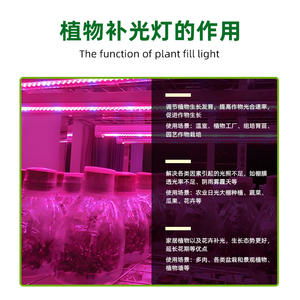 <span class=keywords><strong>Lampe</strong></span> LED à spectre complet <span class=keywords><strong>de</strong></span> type V pour <span class=keywords><strong>culture</strong></span> tissulaire, éclairage supplémentaire haute efficacité pour <span class=keywords><strong>semis</strong></span> et croissance des plantes d'intérieur - Product Image 3