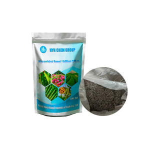 Sản Phẩm Nấm Bột Bào Nấm Sinh Học - Product Image 3