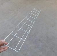 Panier en treillis métallique galvanisé à chaud (HDG) sur mesure pour centre de données et applications industrielles