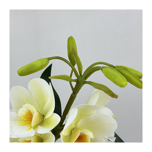 QYYM-516 8 Têtes de Magnolia Qianxi, Décoration Florale Artificielle de Noël de Haute Qualité, Technique Artisanale pour les Occasions de Remise de Diplôme - Product Image 2