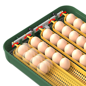 Ferme avicole incubateurs à œufs éclosoir capacité 30 œufs <span class=keywords><strong>machine</strong></span> à couver les œufs de <span class=keywords><strong>poussin</strong></span> - Product Image 6