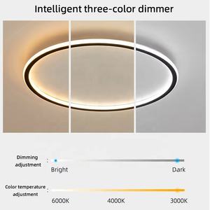 Lámpara de techo LED minimalista moderna ultrafina para dormitorio, sala de libros, pasillo, balcón, cubierta acrílica y base de hierro - Product Image 4