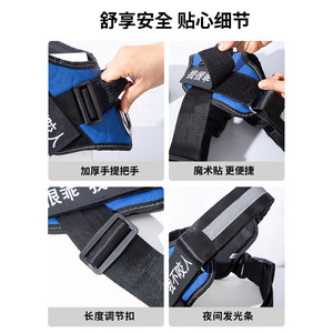 Laisse pour chien, races moyennes à grandes, Golden Retriever, Labrador, laisse de promenade pour chien, harnais, dispositif anti-explosion pour animaux de compagnie. - Product Image 3
