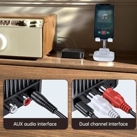 C68S Bluetooth 5.3 audio-ontvanger met 2RCA/AUX/TF-kaart/U-schijf voor hoofdtelefoon/luidsprekers/tv/pc/auto