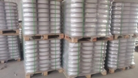 Filtre à particules diesel en carbure de silicium en cordiérite (DPF) Revêtement Pt Pd Rh pour convertisseurs catalytiques de traitement des gaz d'échappement