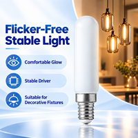 Ampoule LED tubulaire à filament T6 T20 4W 400LM de haute qualité, culot E14, 220VAC, corps en verre, sans scintillement, ampoules LED à filament CE RoHS