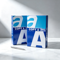 Papier Copie Blanc A4 en Gros - Fournisseur d'Usine - 70/75/80 g/m² - 500 Feuilles - 100% Pâte de Bois Vierge pour Bureau/École/Entreprise