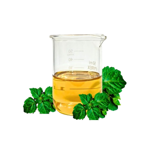 Aceite Esencial de Pachulí Natural Premium (Modelo PATCHOULI OIL LIGHT 26) Aroma Amaderado para Aromaterapia y Cuidado de la Piel - Product Image 1