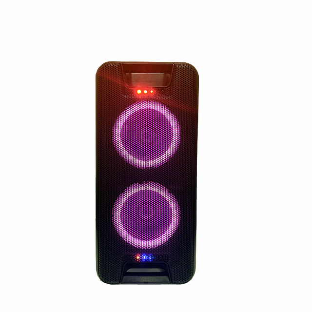 Dual 8 Inch 200W RMS Battery Powered Speaker Box with LED Light Class D Amplifier for Outdoor Parties