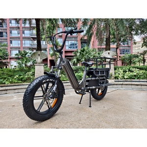 Zerogo 2025 personalizado C1 20 pulgadas Fat Tire 250W bicicleta de carga eléctrica freno de disco hidráulico bicicleta de carga eléctrica - Product Image 4