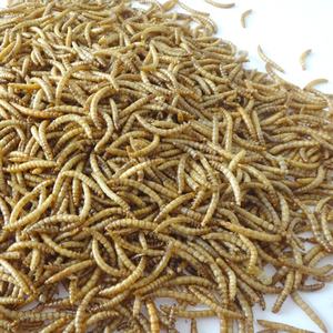 Alimentos para aves, alimentos de alta qualidade e eco amigáveis, pássaros, alimentos, aves, 100% naturais, secos, vivos - Product Image 6