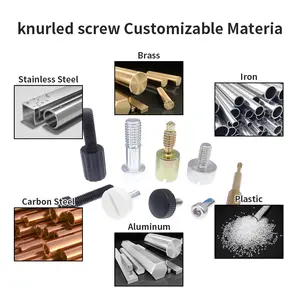 Customizable Fasteners Stainless Steel Plastic Brass M2 M3 M4 M5 M6 M8 Drive Thread Nut Thumb Knurled Screw