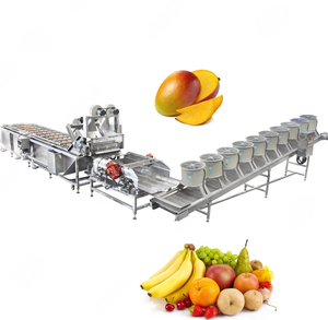 Fruit Washing Machine Pomegranate Tangerine Strawberry Watermelon Grape and Prickly Pear - Product Image 1