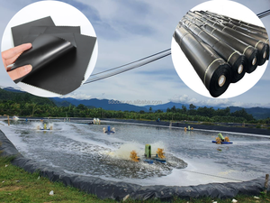 Trung Quốc Nhà máy trực tiếp giá UV kháng HDPE <span class=keywords><strong>geomembrane</strong></span> cho ao với giá tốt nhất với chất lượng cao và giá thấp trên bán - Product Image 2