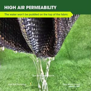 Film de paillage agricole noir biodégradable UV, couverture en plastique soufflé pour le contrôle des mauvaises herbes, respectueux de l'environnement - Product Image 6