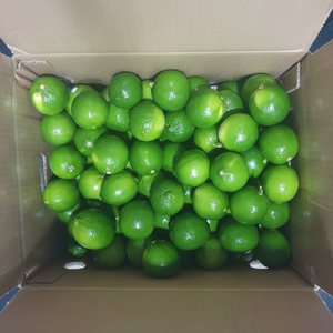 มะนาวแห้งธรรมชาติแม่น้ำเมกง ไม่มีสารปรุงแต่ง สำหรับธุรกิจ B2B และ OEM - Product Image 1