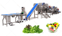 Hoogrenderende Industriële Fruit-En Groentesnijmachine Voor Verwerking En Verpakkingslijn Voor Het Wassen Van Groenten