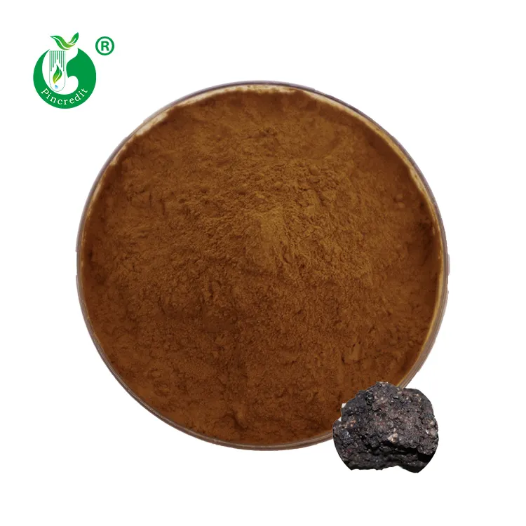 Fabrik preis Nahrungs ergänzungs mittel Bulk Pure Natural Shilajit Extract Powder 10% Fulvin säure