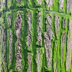 Casca <span class=keywords><strong>artificial</strong></span> de palmeira Roll up Grass Painel de parede Moss <span class=keywords><strong>Tree</strong></span> <span class=keywords><strong>Bark</strong></span> para venda - Product Image 6