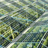 Module solaire photovoltaïque transparent BIPV Green House à double vitrage 220w 300w 380w, panneau solaire en verre semi-transparent
