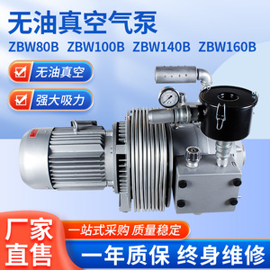 ปั๊มสุญญากาศ Isge Zbw...b แบบไร้น้ำมัน 39 ลิตร/นาที สำหรับถ่ายโอนก๊าซ - Product Image 5