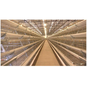 Thương mại trứng gà nhà thiết kế xây dựng kết cấu thép đổ cho gia cầm trang trại để bán - Product Image 2