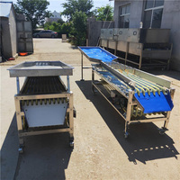 6 grades de tri machine de tri de fruits kiwi cerise olive trieuse niveleuse machine