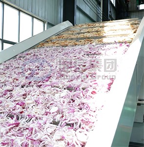 Equipo de secado de cebollas más vendido, secador de cebollas de malla continua de gran capacidad para vegetales - Product Image 4