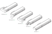 Module de glissière linéaire à vis à billes BSC6, actionneur linéaire électrique avec moteur pas à pas NEMA, rail compact haute rigidité pour machine CNC