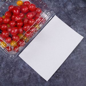 Almohadilla Absorbente Desechable de PE + Pulpa (10x10) para Almacenamiento de Carne Fresca y Frutas en Restaurantes - Product Image 2