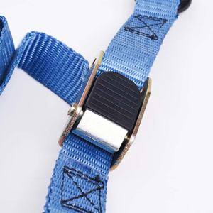 Recuperación <span class=keywords><strong>de</strong></span> carreras, accesorios todoterreno, correa <span class=keywords><strong>de</strong></span> equipaje Raching, trinquete retráctil, amarre, correa <span class=keywords><strong>de</strong></span> trinquete - Product Image 4