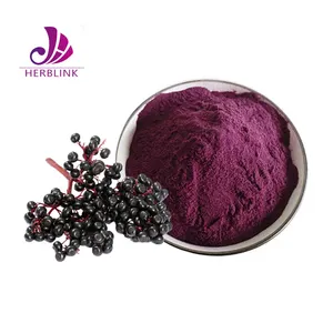 Natural Anthocyanins Plant Extract Oganic Black Elderberry Fruit Extract Powder Elderberry Extract